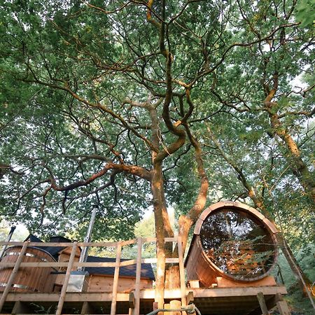 Chestnut Tree House With Hot Tub & Sauna Barmouth Esterno foto