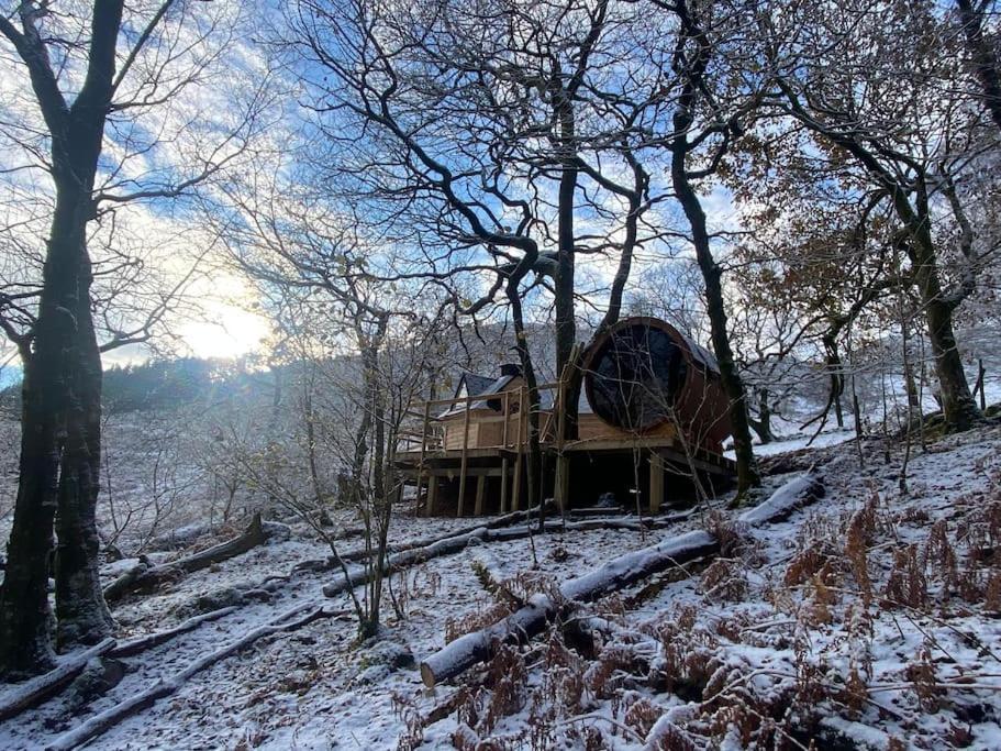 Chestnut Tree House With Hot Tub & Sauna Barmouth Esterno foto