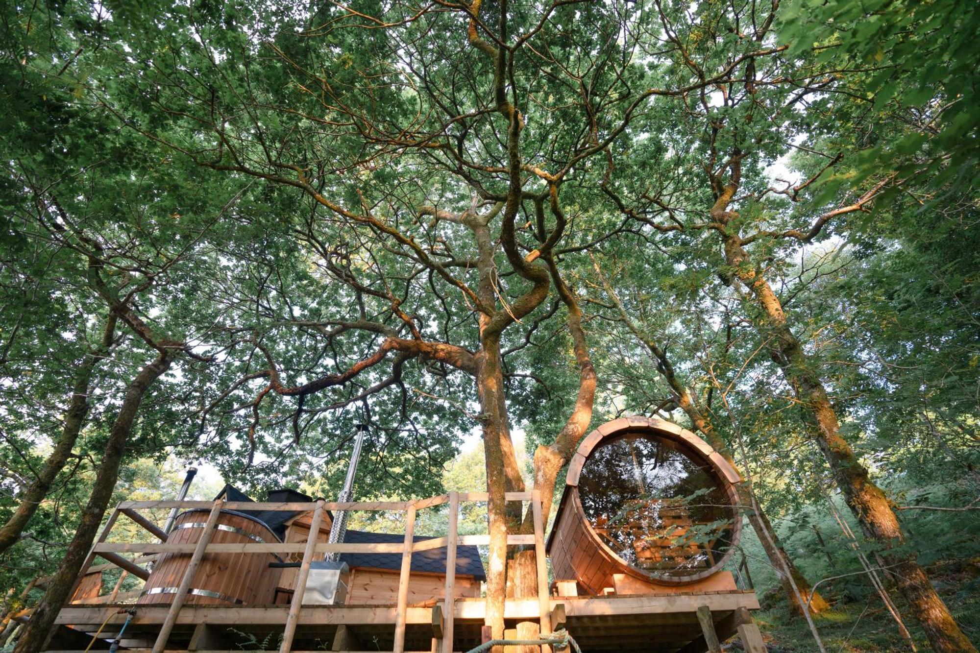Chestnut Tree House With Hot Tub & Sauna Barmouth Esterno foto